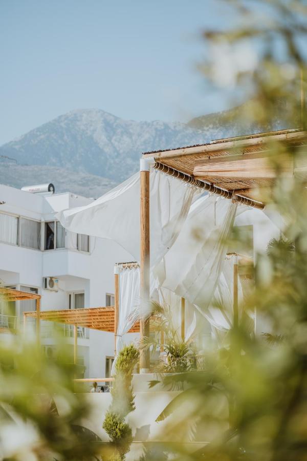 Hotel Abonora Drymades 4*